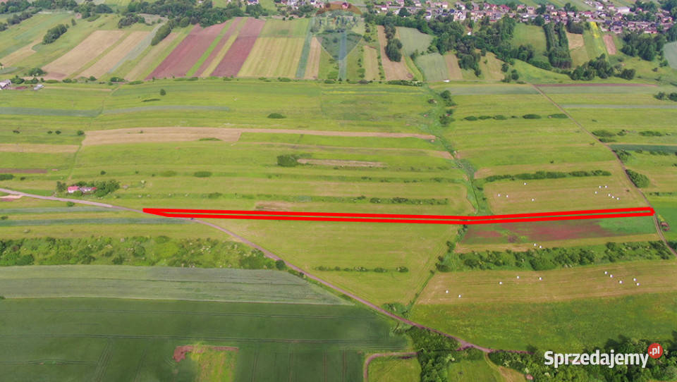 Działka rolna PorębaNiwki 10m śląskie