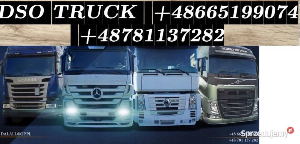 WTRYSK wtryskiwacz adblue volvo fh renault dxi ciężarowe Zawichost