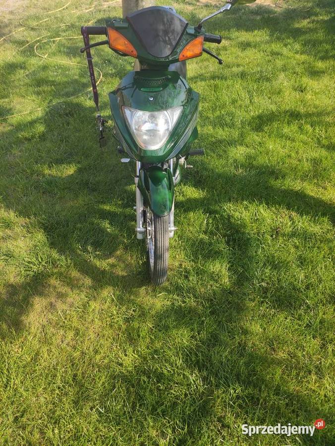 ZIPP SALMO 4 biegowy Motoryzacja Przysucha