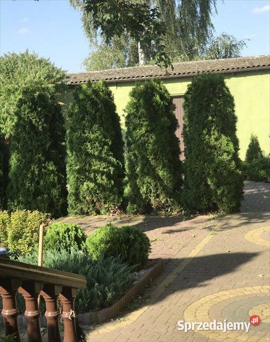 Budynki gosp DOM mieszkanie garaż duża działka blacha mazowieckie Nowe Miasto