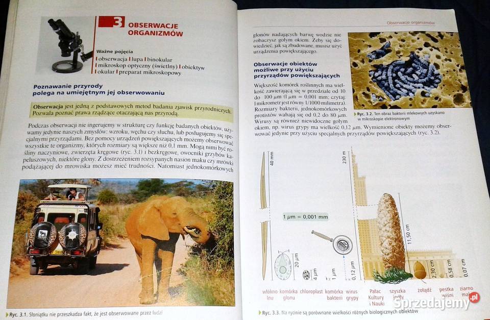 Ciekawa Biologia 1 Podręcznik Ewa Kłos Chełm sprzedam