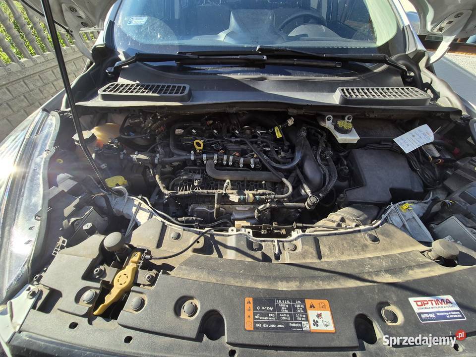 Ford escape Rok produkcji 2017 Lasocice