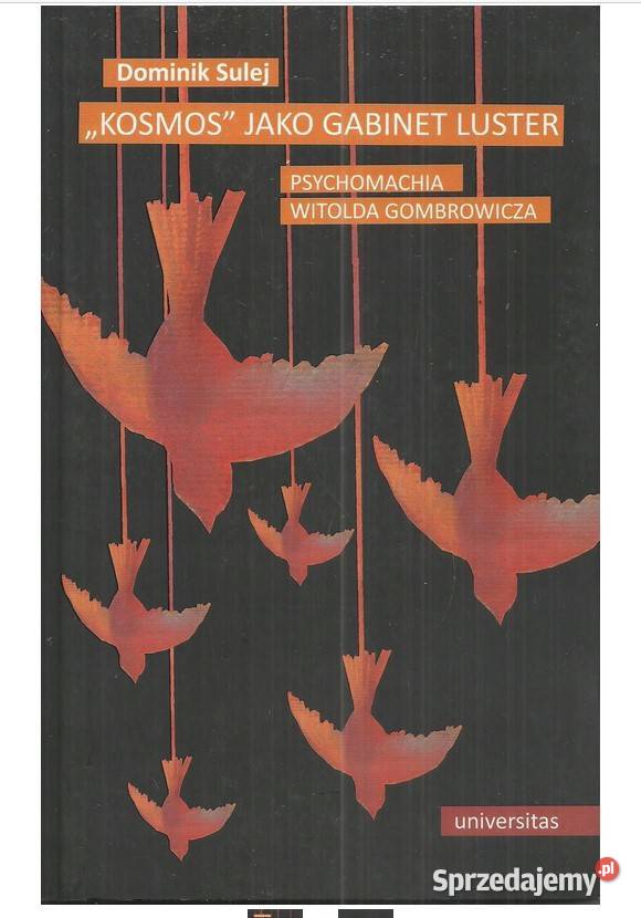 Kosmos jako gabinet luster Psychomachia Witolda łódzkie Łódź