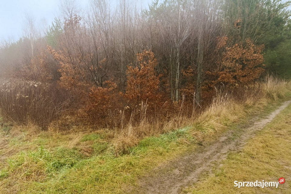 Działka 6900m2 Trawniki 5zł/m2