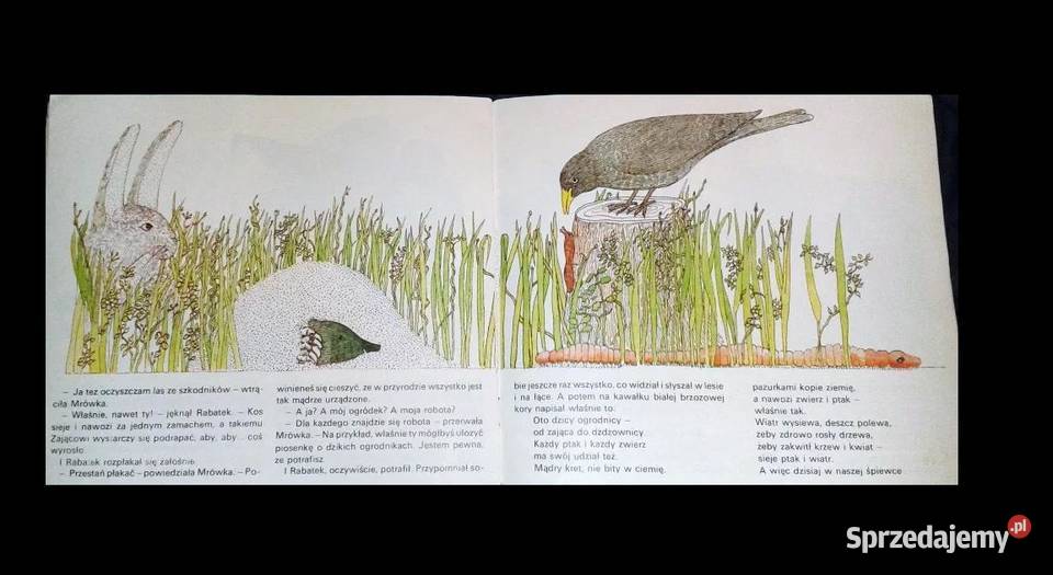 Sami ogrodnicy Maria Terlikowska Chełm