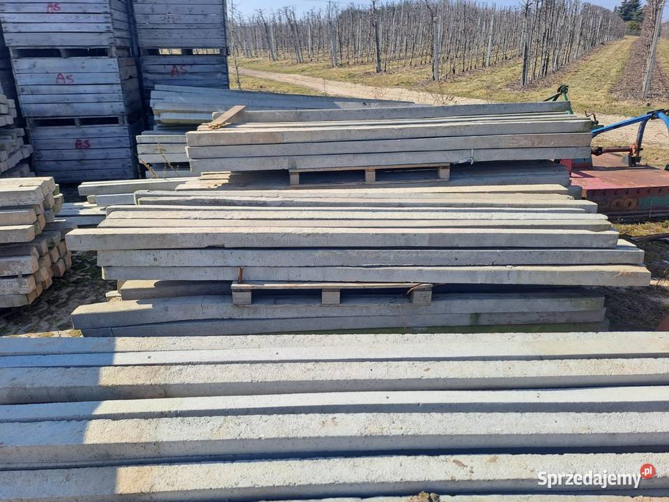 Słupy ogrodzeniowe wielkopolskie Konin sprzedam