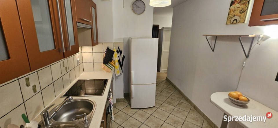 Mieszkanie 43 m z widokiem na Staw Płaszowski i internet Kraków