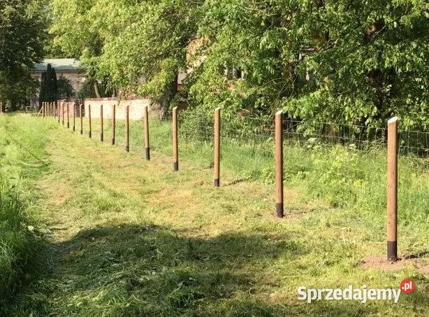 słupki paliki drewniane ogrodzenie fi 9 dł250 wielkopolskie