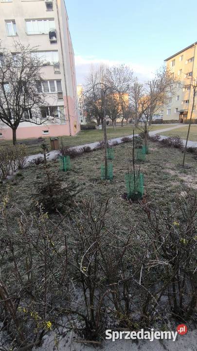 Mieszkanie w zielonej i spokojniej okolicy 9459zł/m2 Żyrardów