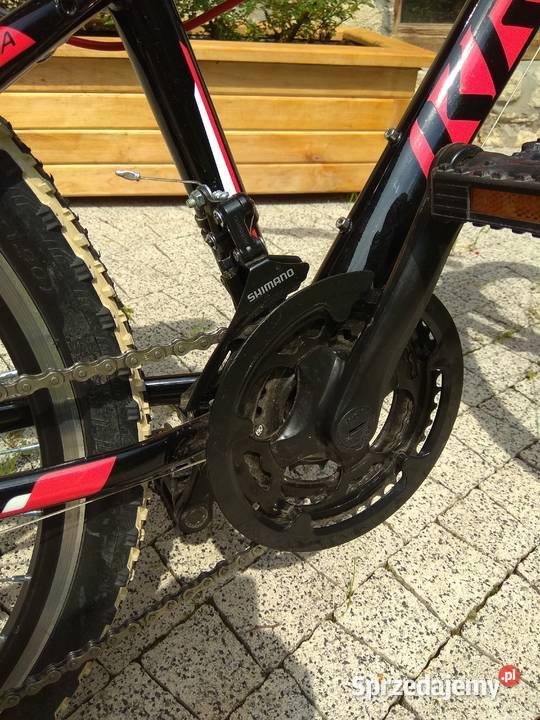 rower Kross Hexagon Jr 24cale