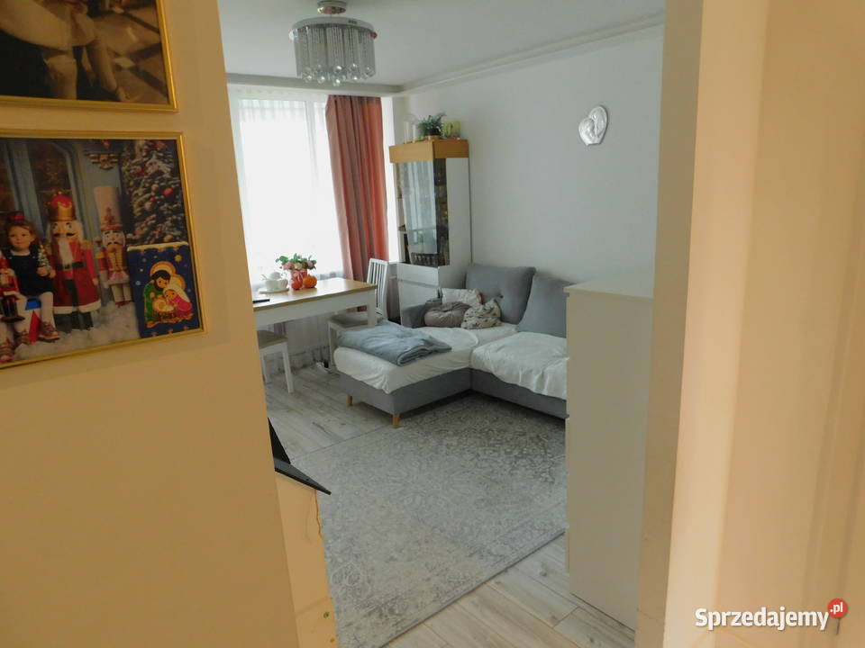 Syndyk sprzeda Radom PCK mazowieckie sprzedam