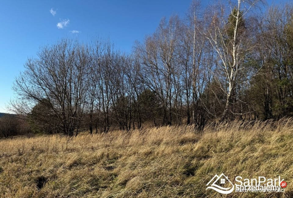 Grunt Kuźmina 28900m2 sprzedam