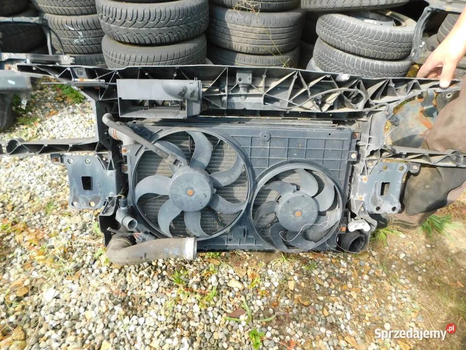 toledo III 16 pas przedni WYSYŁKA Pozostałe śląskie Żory