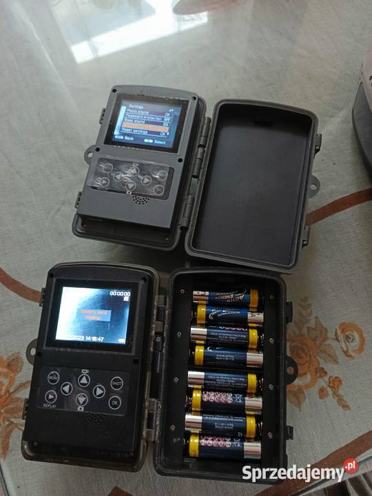 Fotopłapka lubuskie