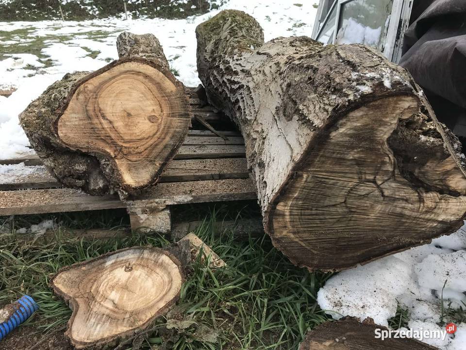 drewno orzechowe pień na foszty deski rzeźba Narama