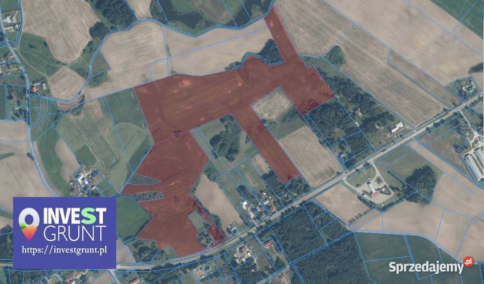 5718 ha grunty rolne przetarg na dzierżawę Wynajem Franciszkowo