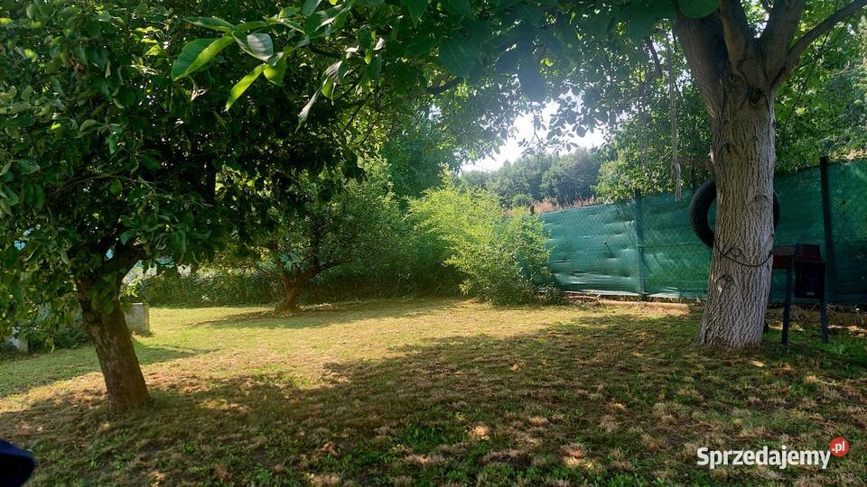 Działka ROD Kużniki Wrocław Nowy Dwór 440 m