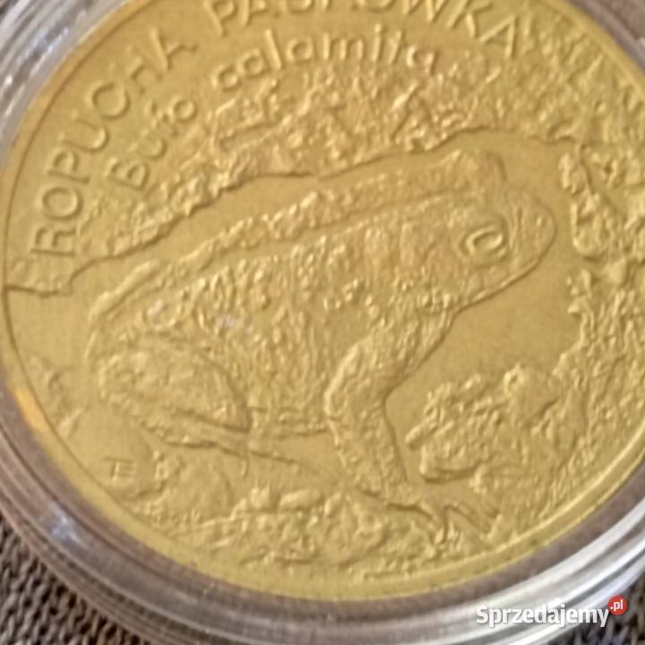 Monety okolicznościowe 2 Numizmatyka dolnośląskie Wrocław