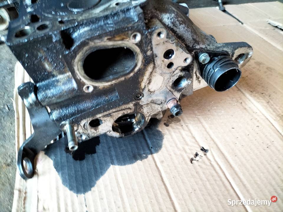 AUDI A38L A3 8L 19TDI 038103373R GŁOWICA sprzedam
