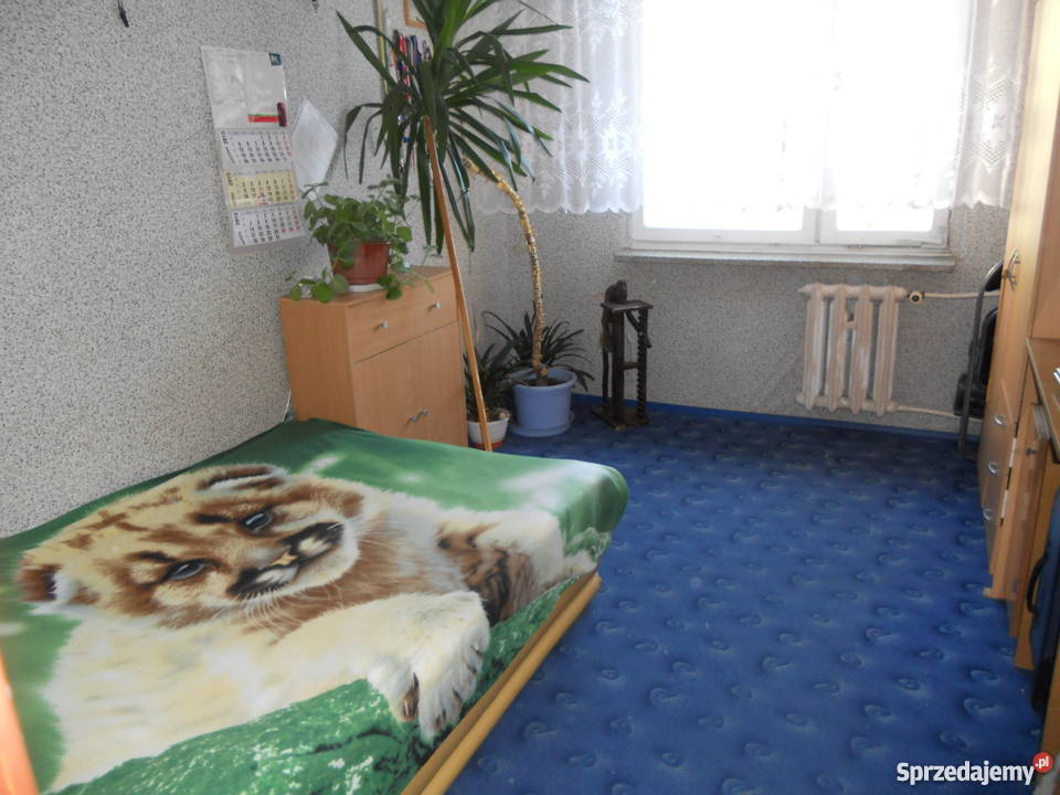 Sprzedam mieszkanie w Lubinie osiedle Ustronie pom. użytkowe Lubin