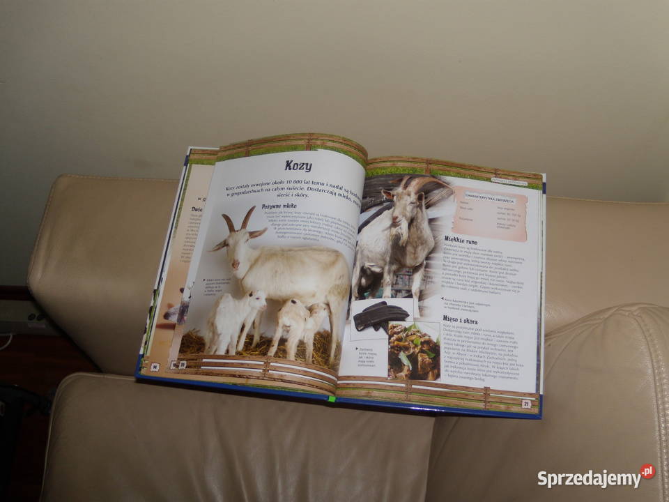 Zwierzęta hodowlane Odkrywanie świata Warszawa