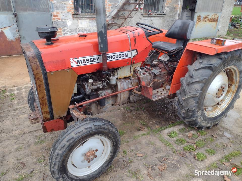 Massey Ferguson 235 autentyczny przebi do Kowalewo Pomorskie