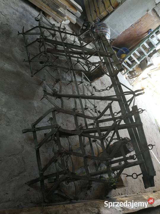 Brony 5 polowe Chlewiska