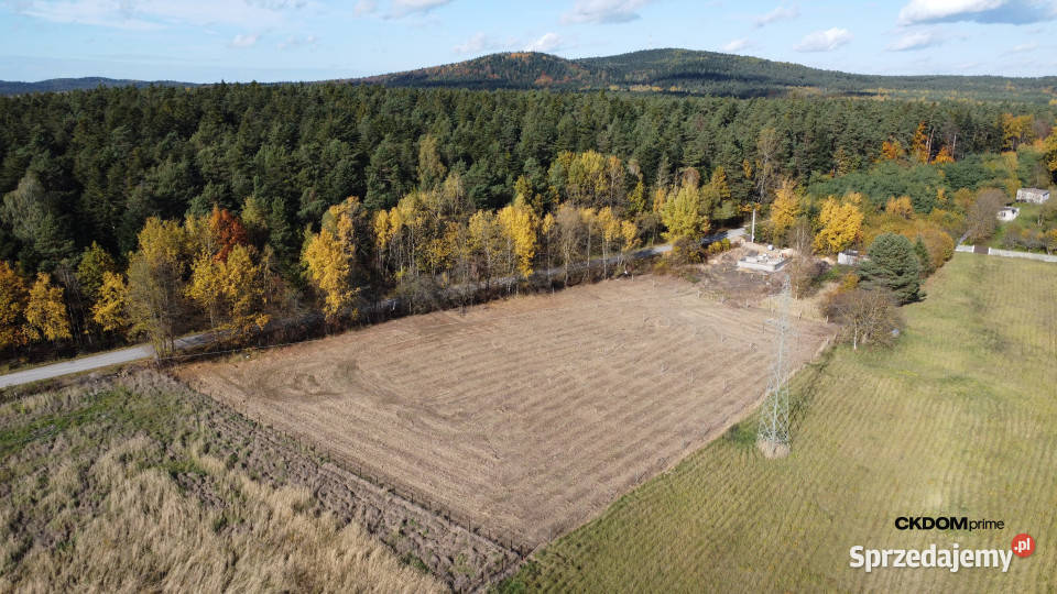 Kielce Klecka działka 1043 m2
