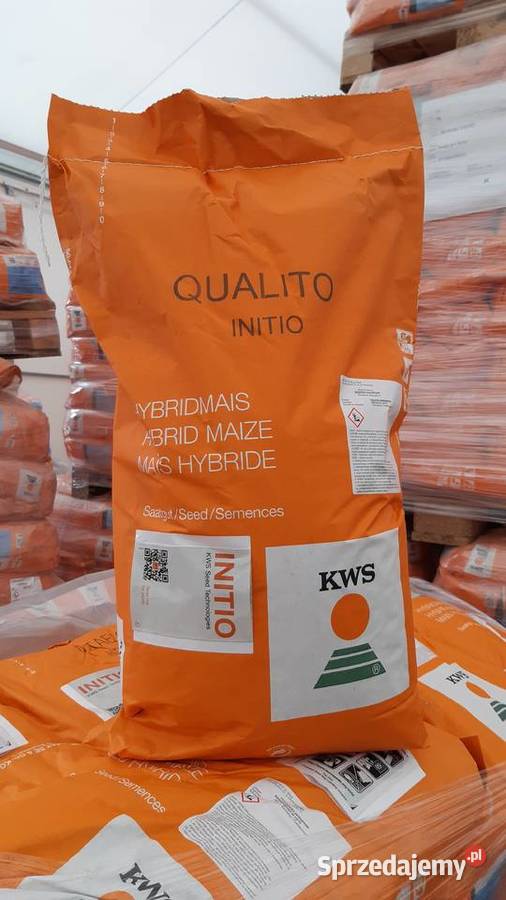 Kukurydza Aldo opak 50 000 nasion KWS Ujazd