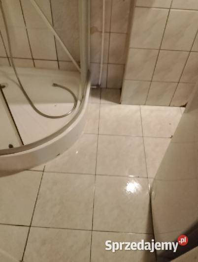 Odgrzybianie ścian i Usuwanie zarazków w kuchni Myszków