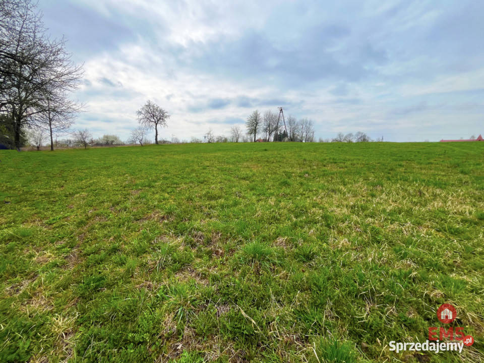 Grunt 5350m2 Nowe Aleksandrowo podlaskie sprzedam