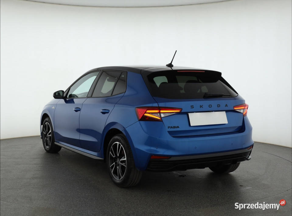 Skoda Fabia 10 TSI Piaseczno