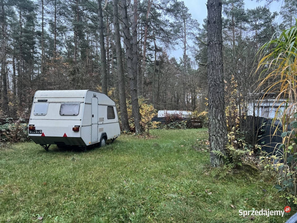 Działka leśna ZL ogrodzona jeziorem Borkowo