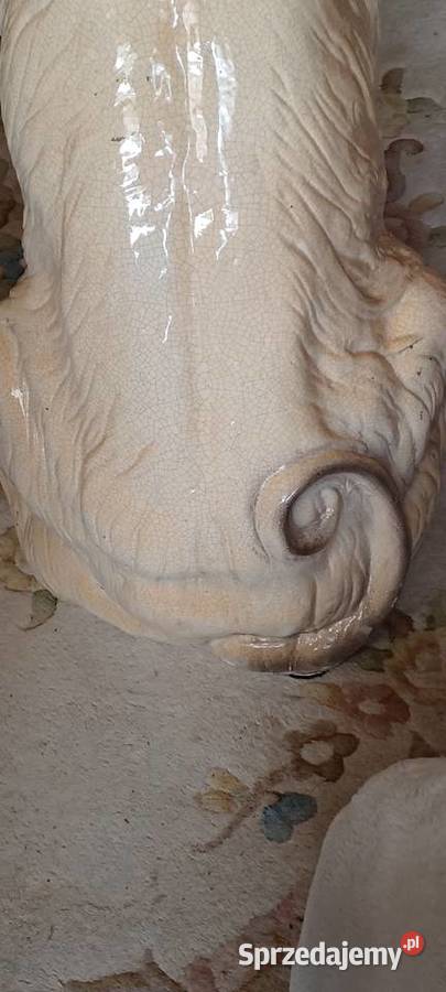 W POZNANIU ZARAZ POWOJENNY CHART AFGANSKI 24 beżowy wielkopolskie Kiekrz