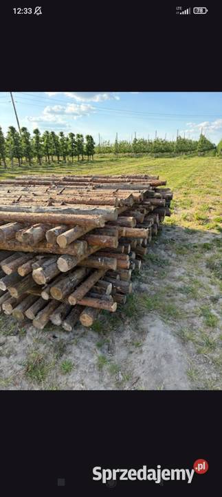 Stęple budowlane mocnesolidne Pozostałe Jasieniec