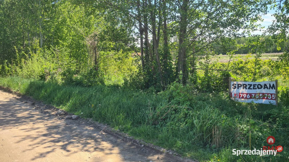 Działka Zaścianki 14263m2 sprzedam