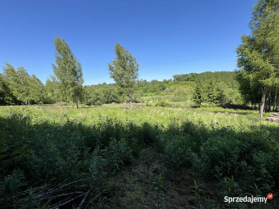 Działka 3580 m2 w Kazimierzu Dolnym 4 rynku Kazimierz Dolny