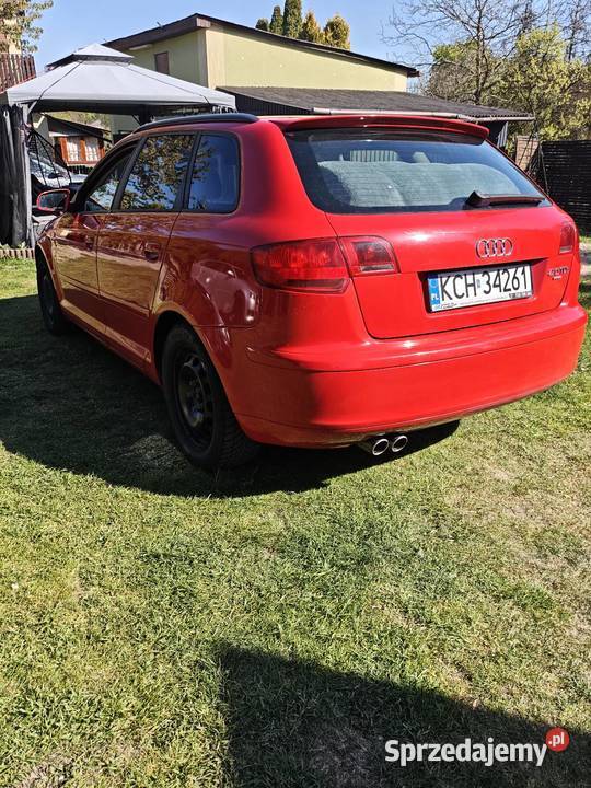 Audi A3 8P 5D Quattro 20 TDI 170 sprzedam