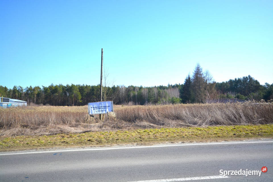 Grunt 1824m2 Głusko DużeKolonia kanalizacja