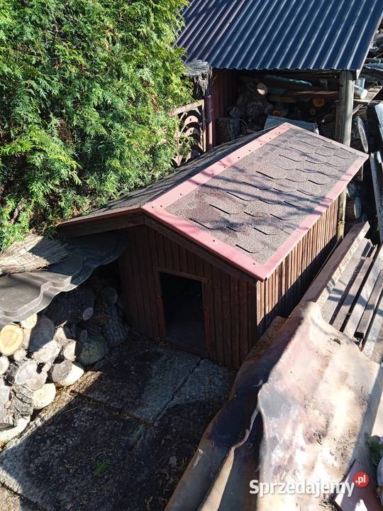 Solidna duża buda psa Dla psów Starachowice