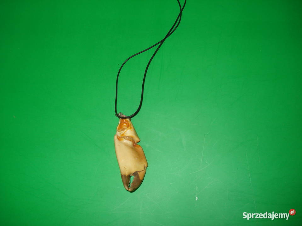 Naszyjnik na rzemyku z nóżką kraba Warszawa