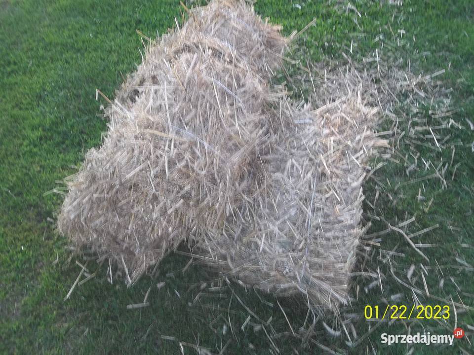 kostki sianasłomy Pozostałe lubelskie Komarówka Podlaska sprzedam
