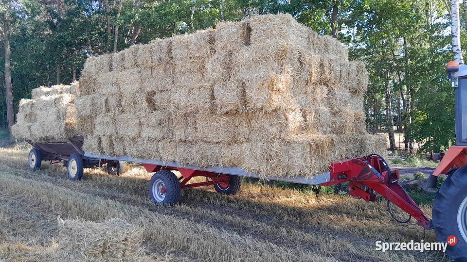 Słoma owsiana i zytnia duze kostki Kazimierówka sprzedam