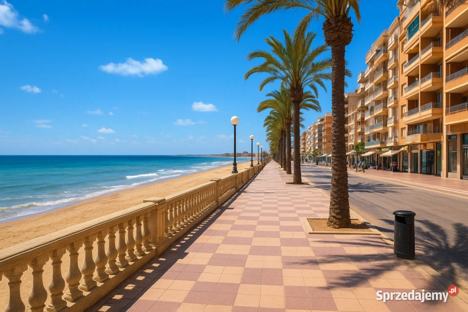 Apartament 180 m plaży Torrevieja Końskie