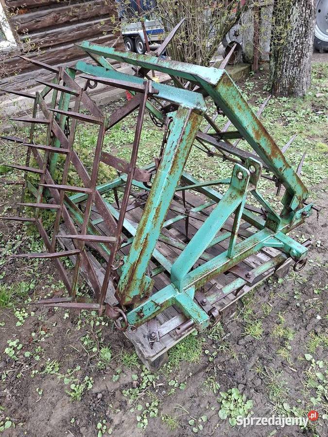 Brony 3ki Grudziądzkie średnie Jasło