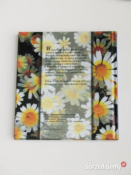 Słoneczne promyki przyjaźni Kraków