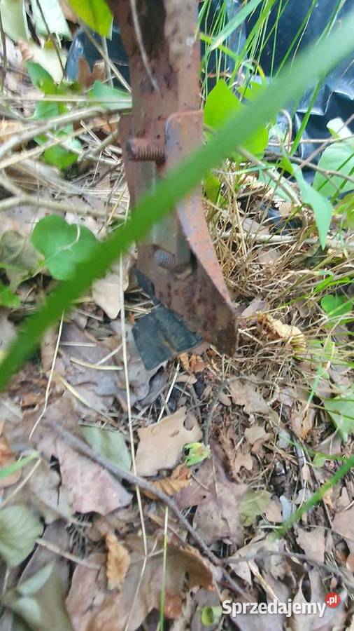 Bagażnik dachowy wartburg