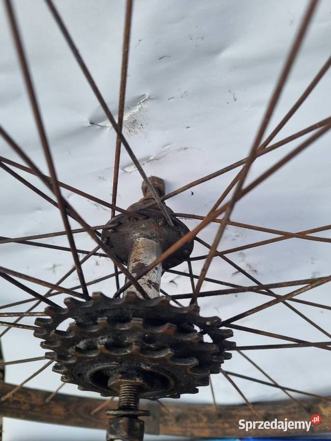 Koła drewniane do roweru Brampton FS Kamiński Sosnowiec