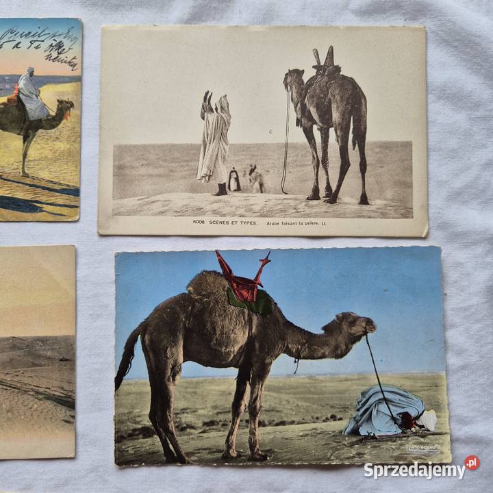 Pocztówki 5 Afryka Islam około 1920r Brzesko sprzedam
