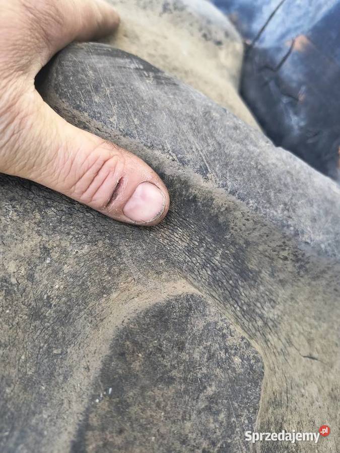 Opony 14928 do c360 Lublin